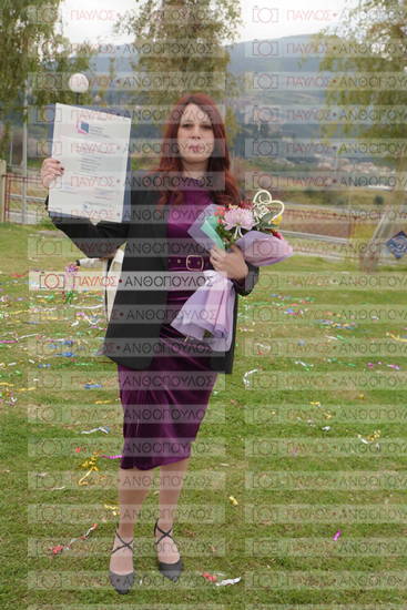 Νεώτερη και Σύγχρονη Ελληνική Ιστορία, Δημόσια Ιστορία
