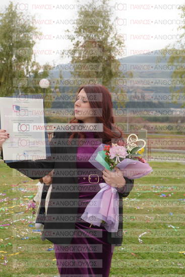 Νεώτερη και Σύγχρονη Ελληνική Ιστορία, Δημόσια Ιστορία