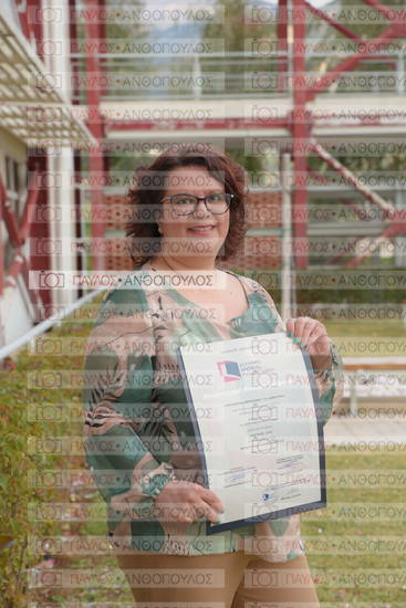 Νεώτερη και Σύγχρονη Ελληνική Ιστορία, Δημόσια Ιστορία