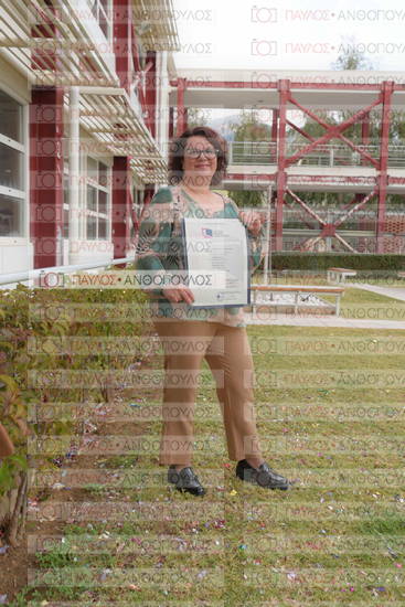 Νεώτερη και Σύγχρονη Ελληνική Ιστορία, Δημόσια Ιστορία