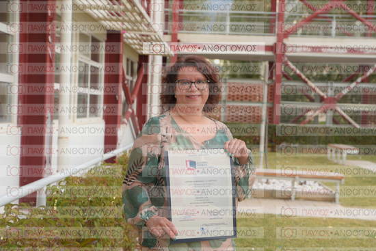 Νεώτερη και Σύγχρονη Ελληνική Ιστορία, Δημόσια Ιστορία