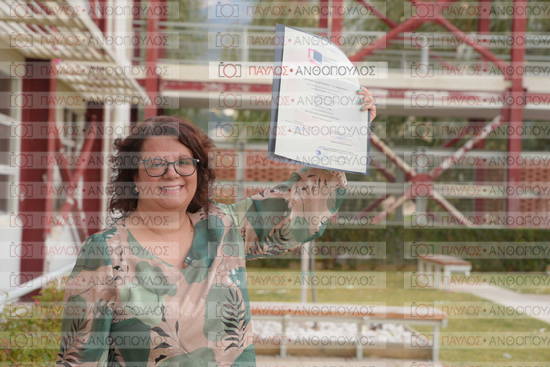 Νεώτερη και Σύγχρονη Ελληνική Ιστορία, Δημόσια Ιστορία